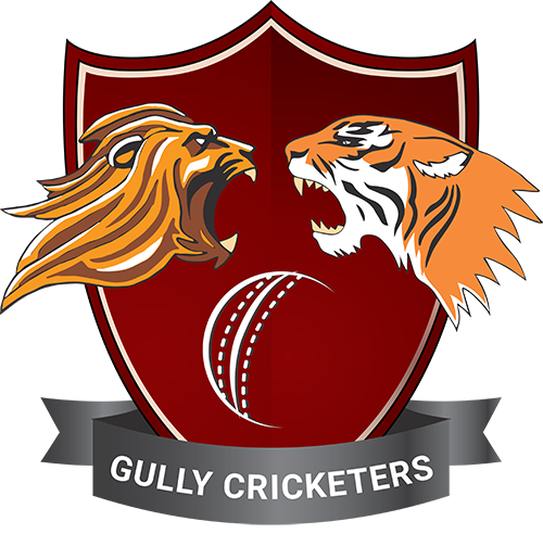 Gully Cricketers